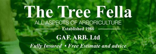 The Tree Fella