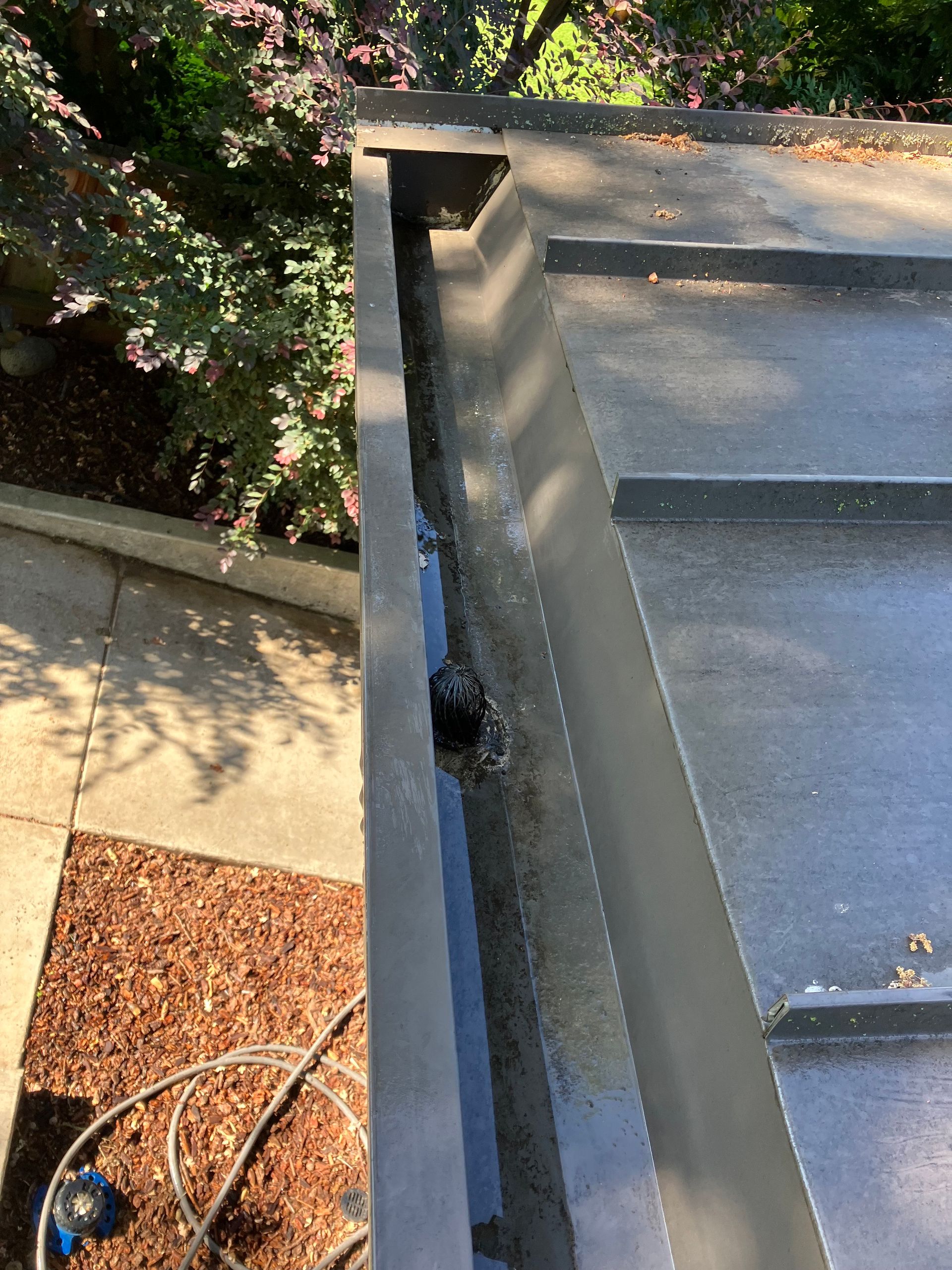 Dark roof gutter filled with debris, viewed from above, with a small, open drain.