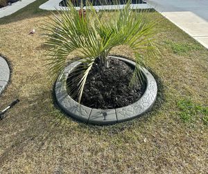 Mulching Services