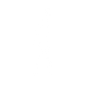 White background.