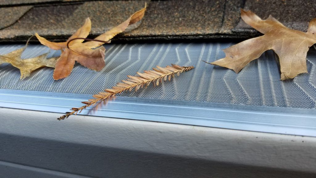 Leaf Protection