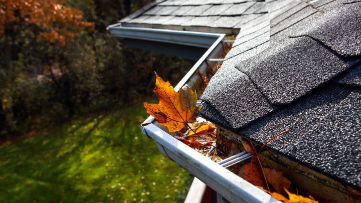 Gutter filled with autumn leaves, next to a shingled roof with a green lawn in the background.