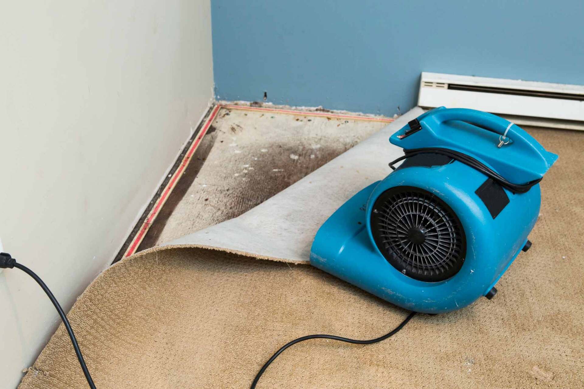 Damaged House Floor — Portage, IN — Indy Fiber & Surface Cleaning