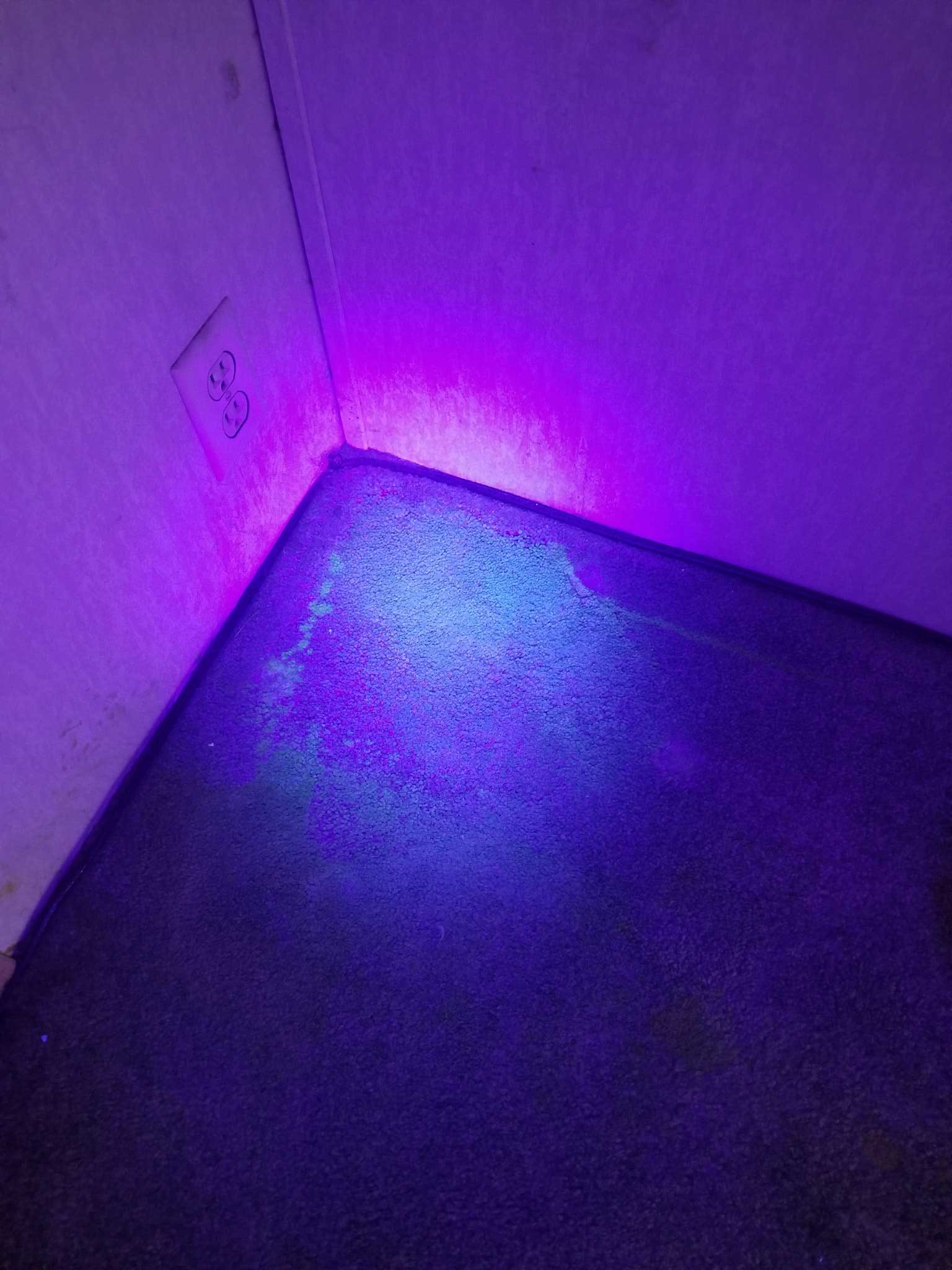 Pet Stain On A Floor — Portage, IN — Indy Fiber & Surface Cleaning