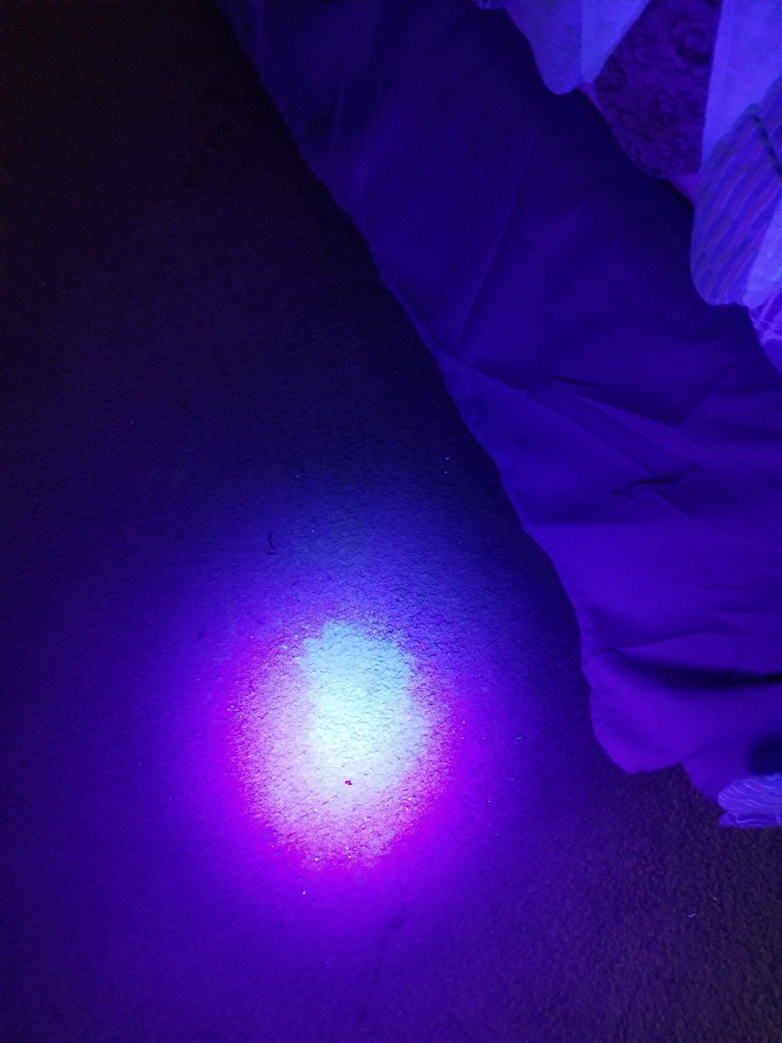 Urine Stain Of A Pet — Portage, IN — Indy Fiber & Surface Cleaning