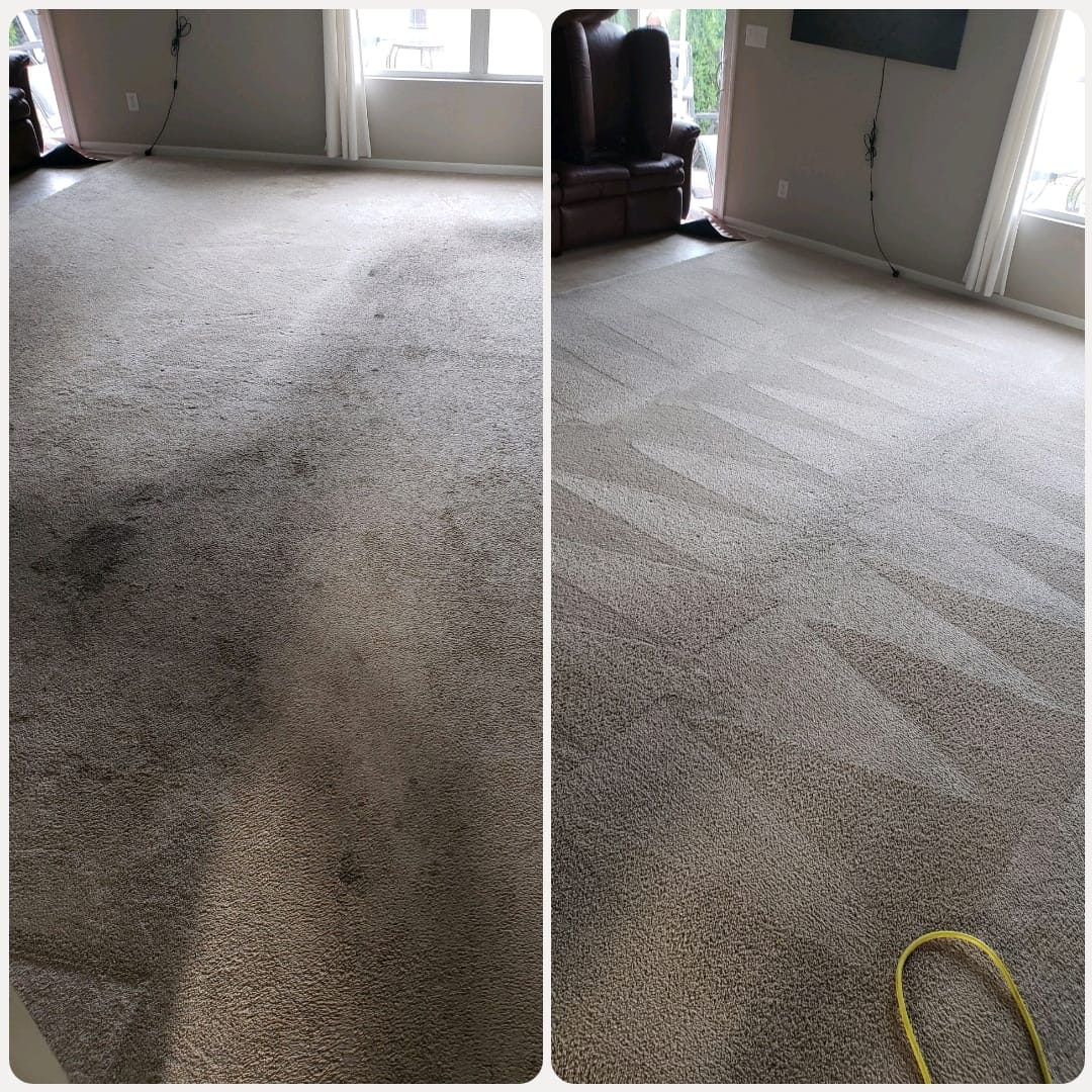 carpet cleaning before and after