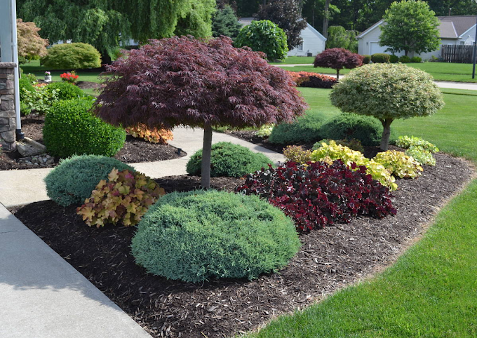 A lush green garden with trees and bushes along a sidewalk