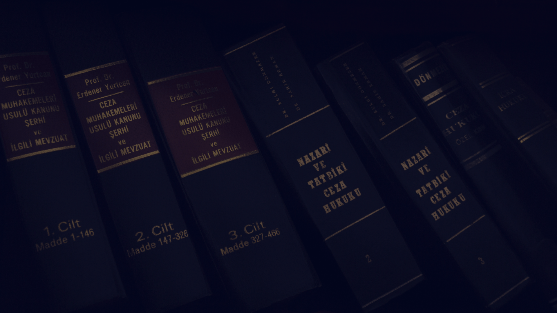 criminal defense books