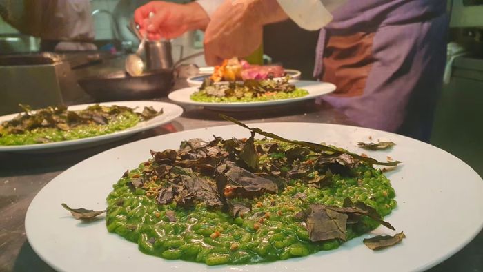 Piatto di stagione con verdure dell’orto e impiattamento contemporaneo.