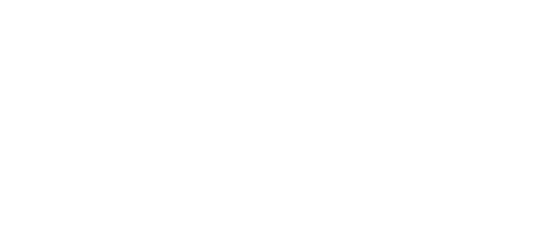 All Nations Express Inc. logo