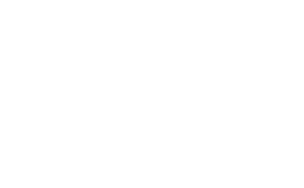 logo icon