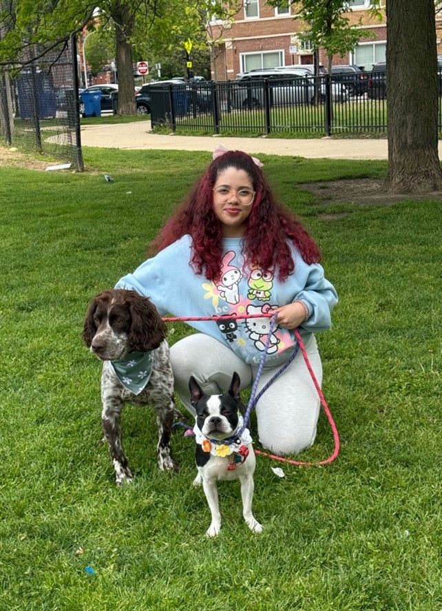 Person kneeling on grass with two dogs, holding leashes in a park.