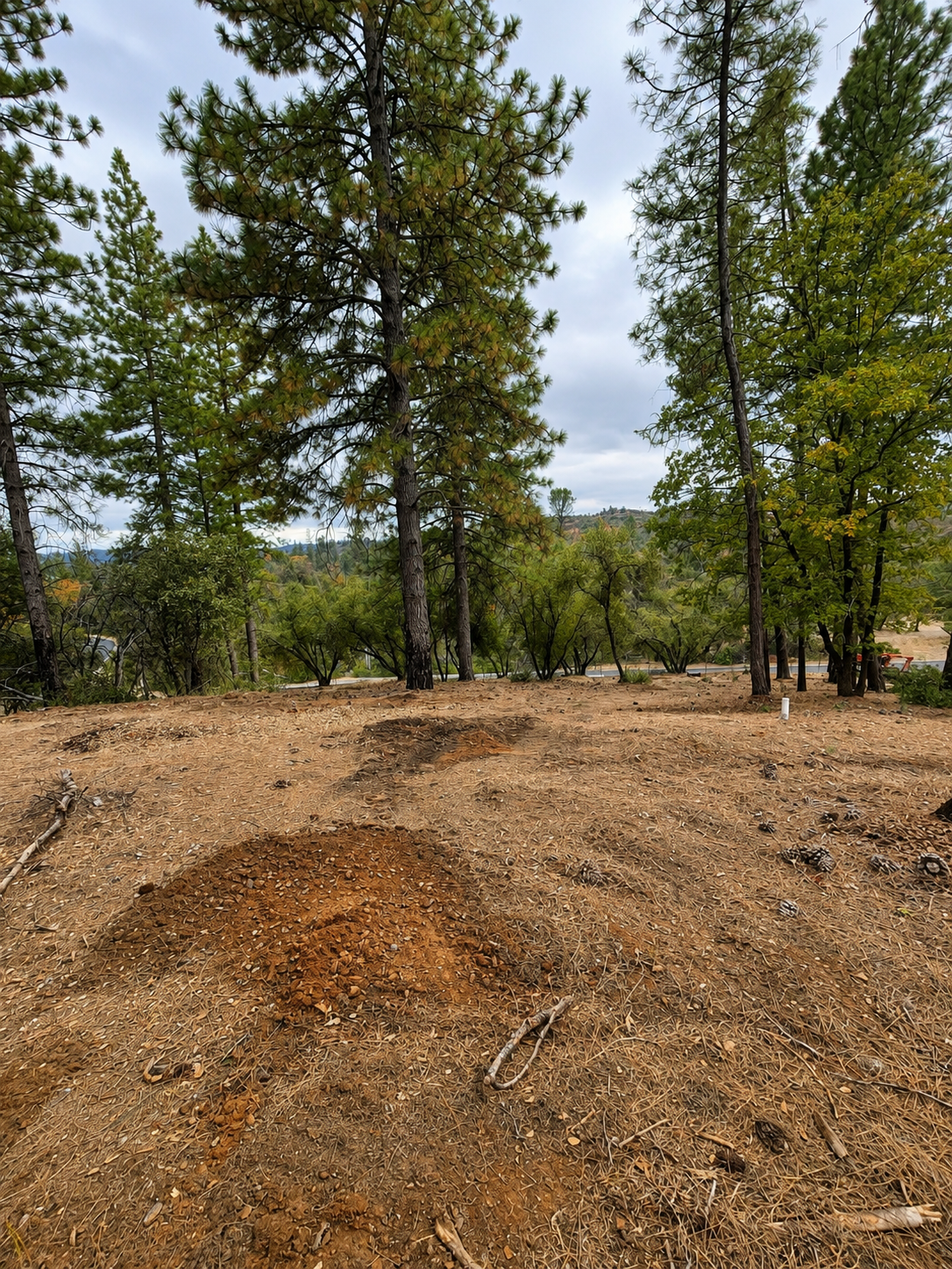 Construction workers and excavators grading a dirt road at a worksite