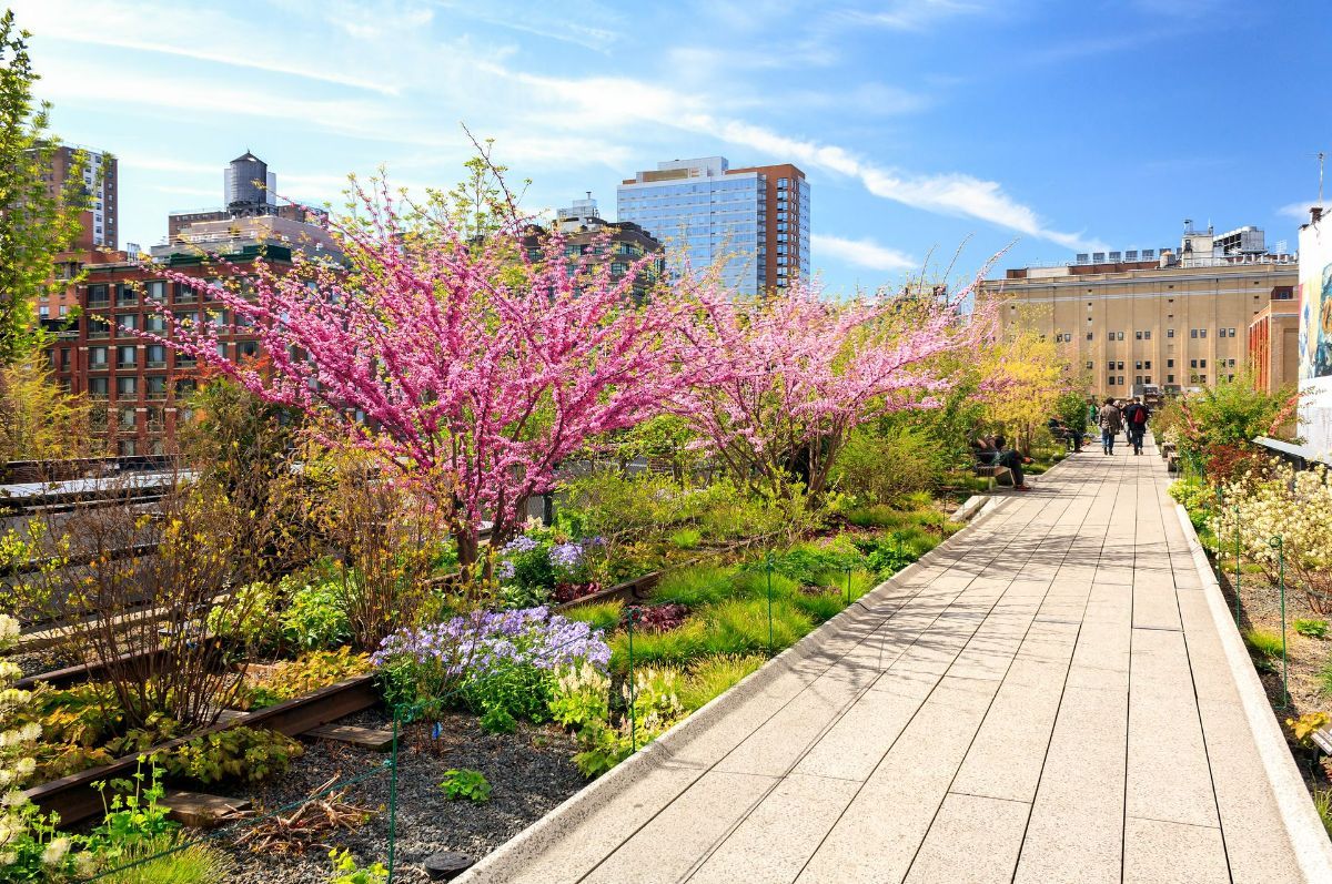 the high line