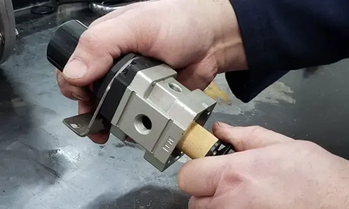 Une personne tient une valve dans ses mains.