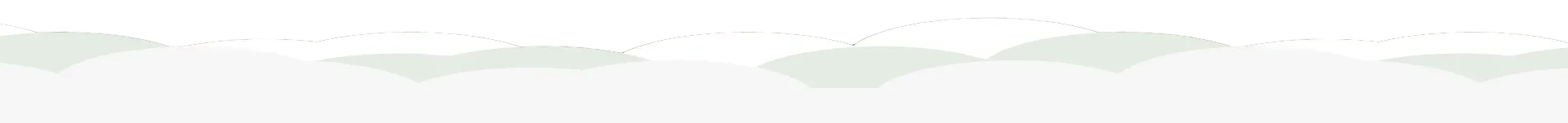 Thin pale green horizontal bar on a white background