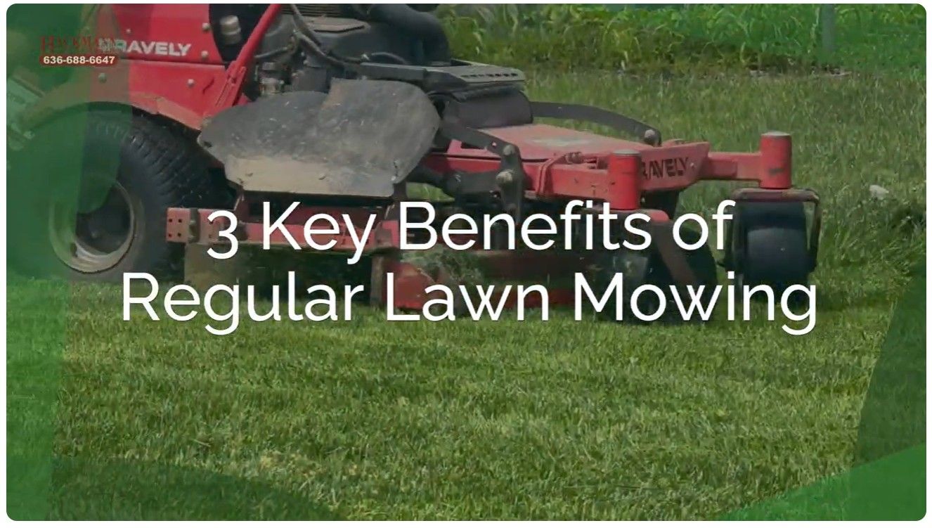 3 key benefits of regular lawn mowing | Hackmann Lawn | Dardenne Prairie MO