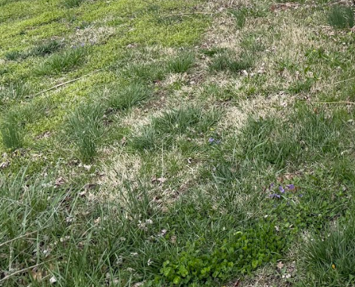 rock mulch | Lake St Louis | Hackmann Lawn & Landscape