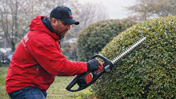 edging & mulch in St. Louis MO | Hackmann Lawn & Landscape