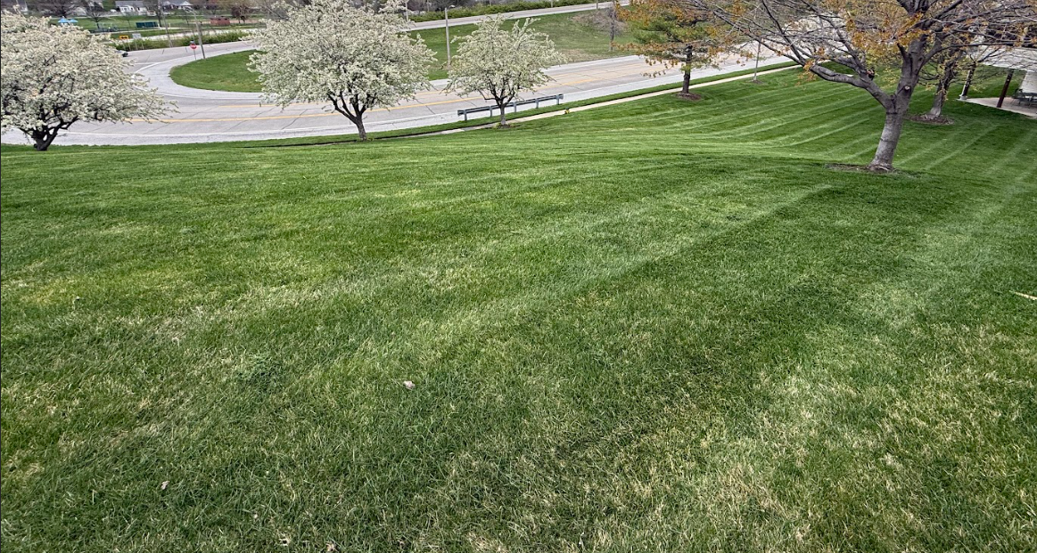 Spring Fertilization & greener grass St Charles MO
