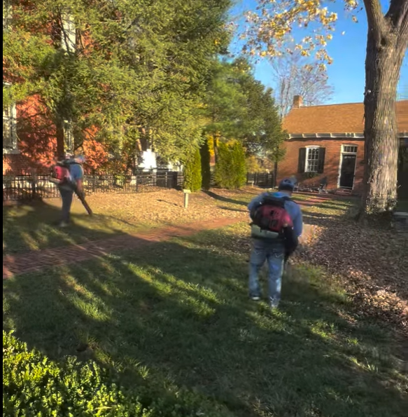 Leaf removal in St. Louis MO | Hackmann Lawn & Landscape