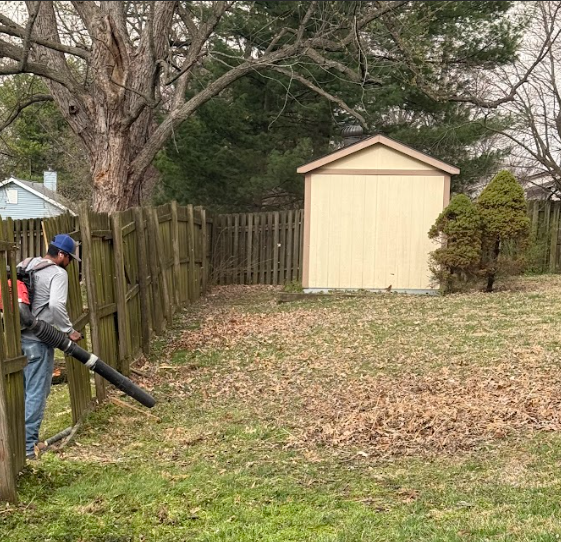 Leaf removal | St. Charles MO | Hackmann Lawn 