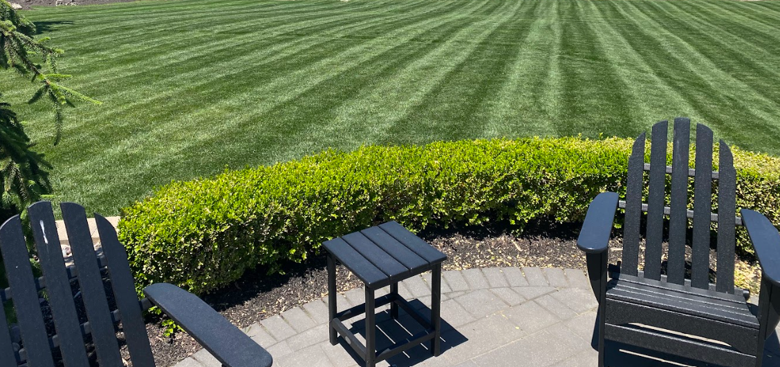 Sod Repair and Replacement services| St.Charles MO | Hackmann Lawn & Landscape