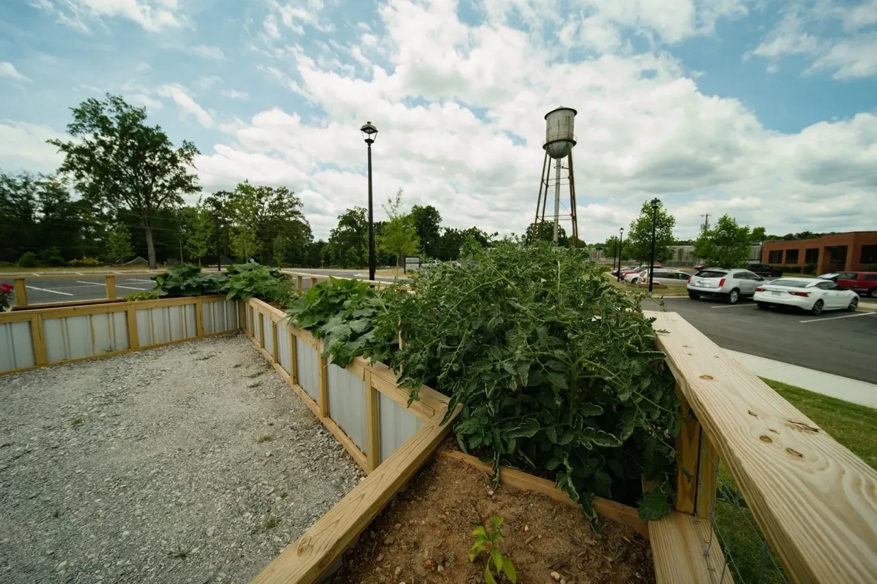 Outdoor area with a wooden railing and raised garden bed filled with leafy plants beside a parking lot.