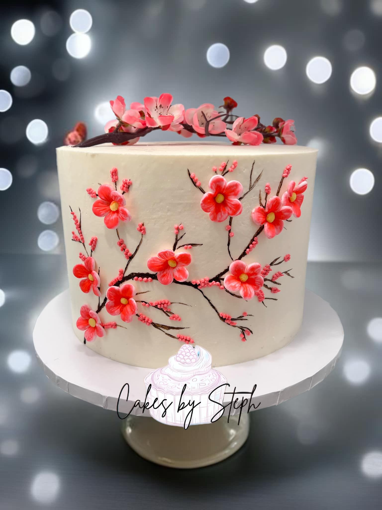 Custom cake by Cakes by Steph — Leesburg VA