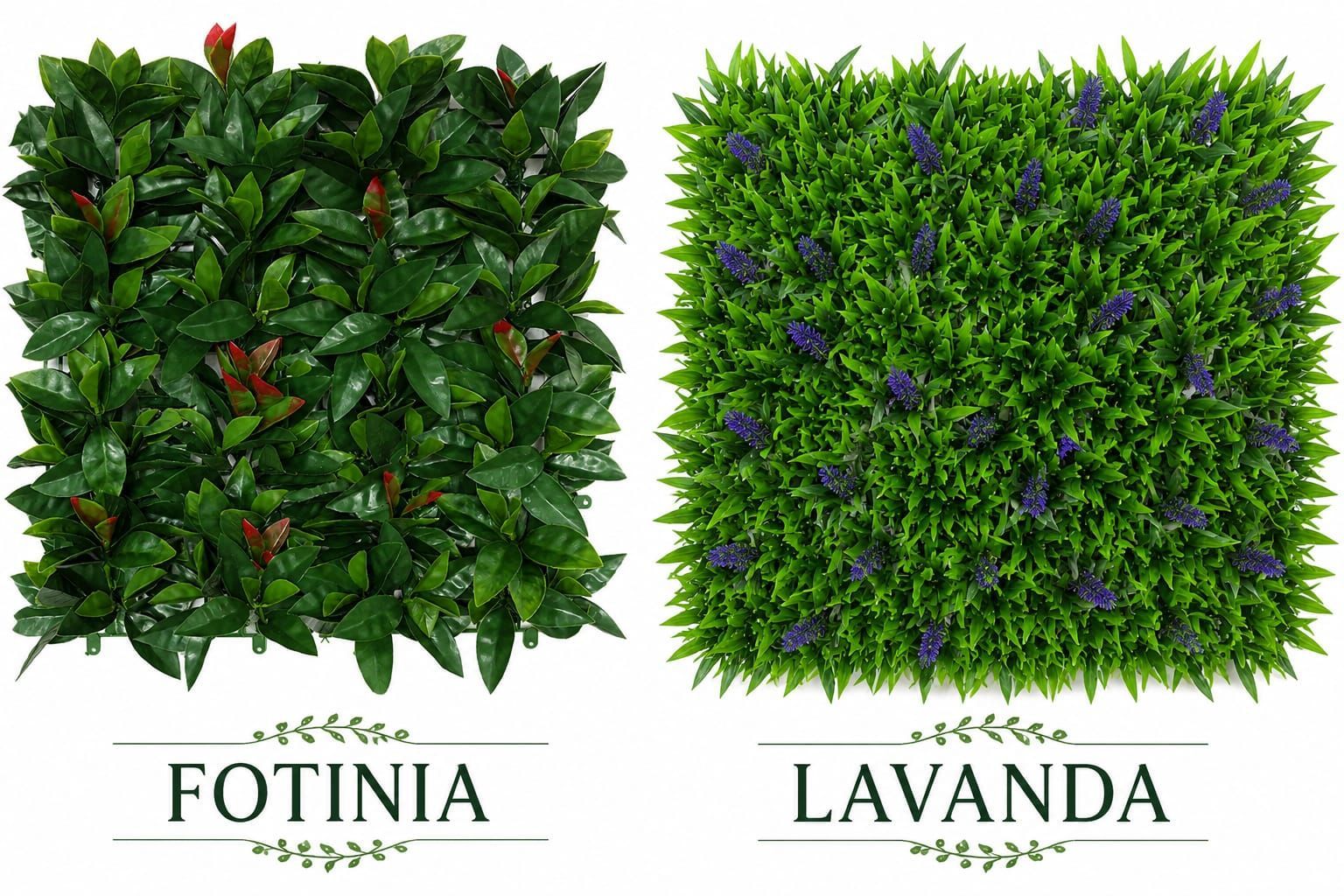 Se muestran plantas de fotinia y lavanda una al lado de la otra, con follaje verde y flores moradas.