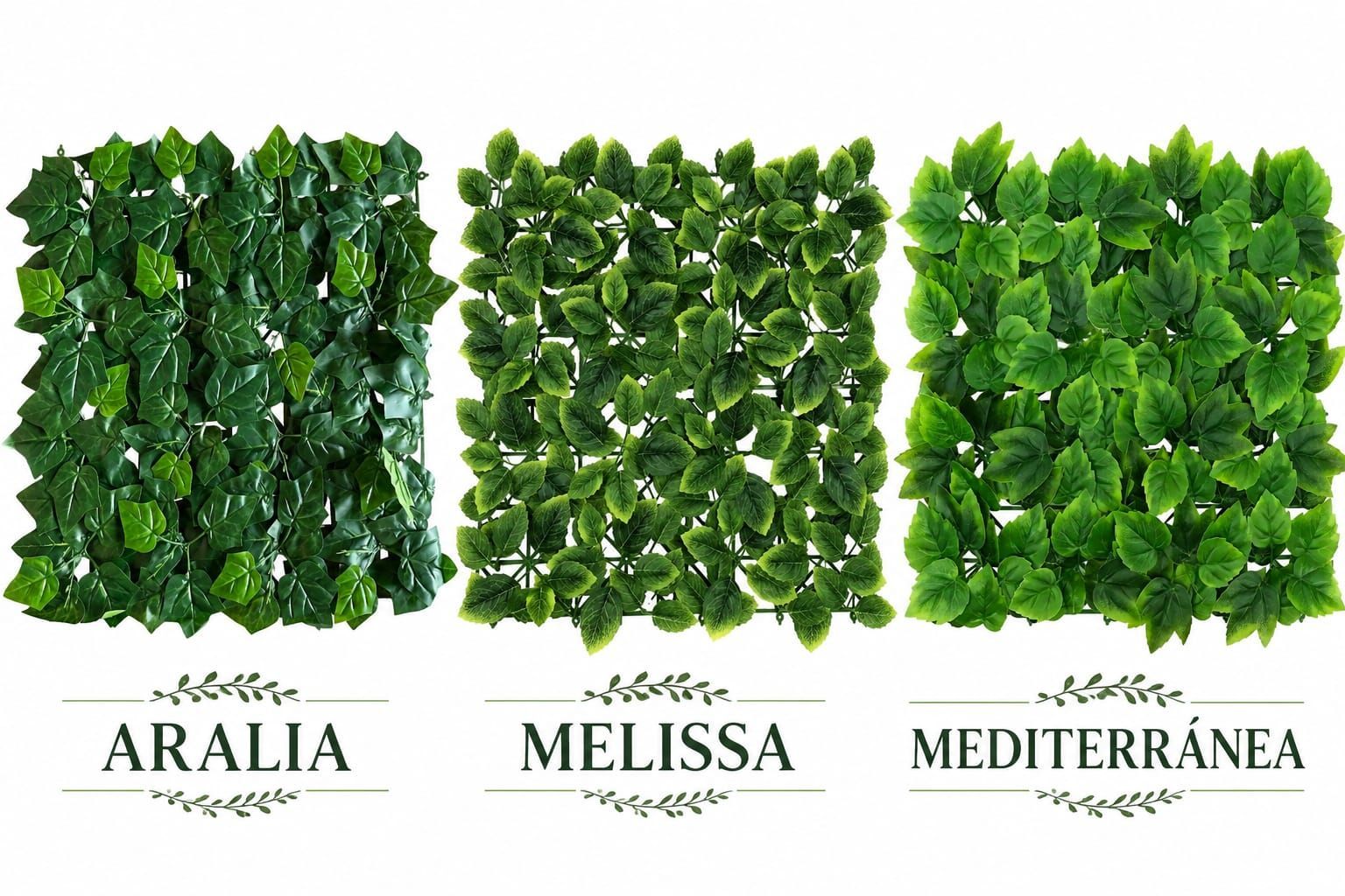 Tres cuadrados de follaje verde etiquetados como Aralia, Melissa y Mediterránea sobre un fondo blanco.