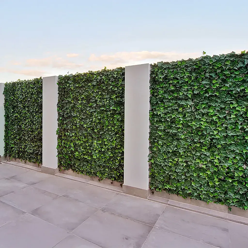 Tres cuadrados de follaje verde etiquetados como Aralia, Melissa y Mediterránea sobre un fondo blanco.