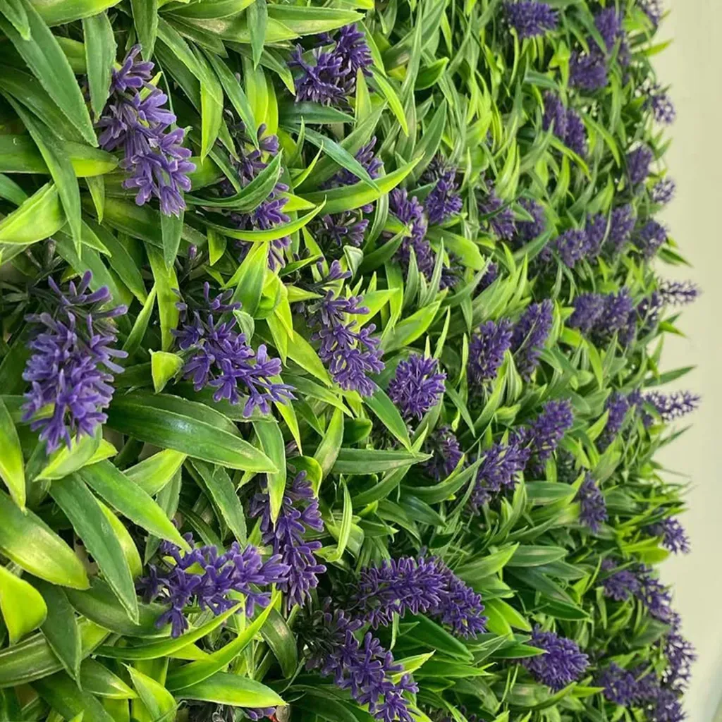 Se muestran plantas de fotinia y lavanda una al lado de la otra, con follaje verde y flores moradas.