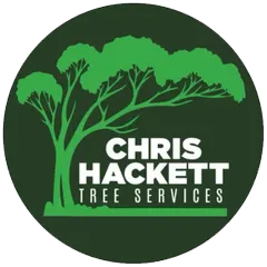 Expert Arborist in Ballina Expert Arborist in Ballina