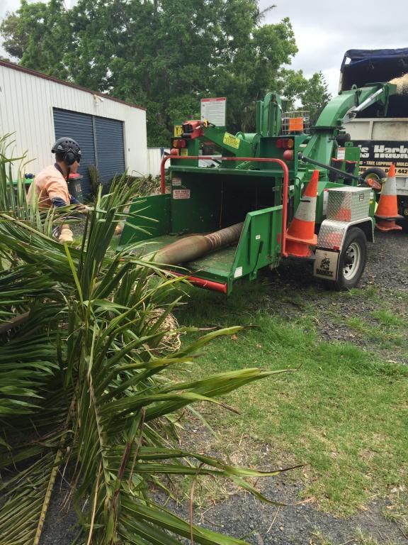 A Man Is Standing Next To A Tree Chipper In A Yard — Chris Hackett Tree Services In Evans Head, NSW