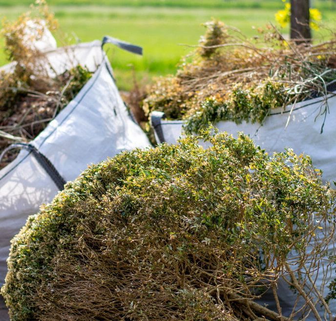 A Pile Of Branches And Leaves In A Bag — Chris Hackett Tree Services In Bangalow, NSW