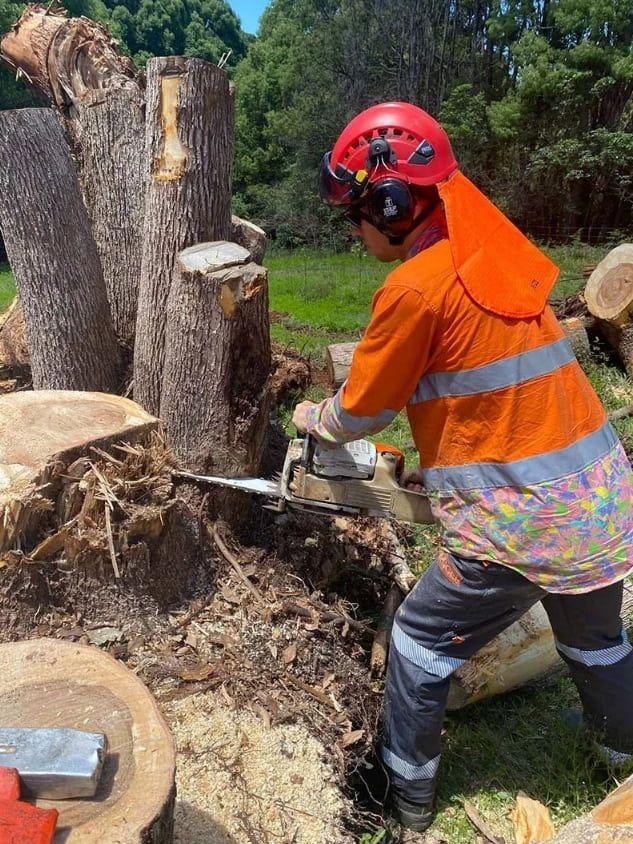 A Man Is Cutting A Tree Stump With A Chainsaw — Chris Hackett Tree Services In Ballina, NSW