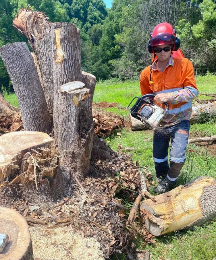 A Man Is Cutting A Tree Stump With A Chainsaw — Chris Hackett Tree Services In Evans Head, NSW