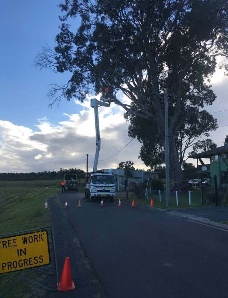 A Yellow Sign On The Side Of The Road Says That Work Is In Progress — Chris Hackett Tree Services In Lismore, NSW