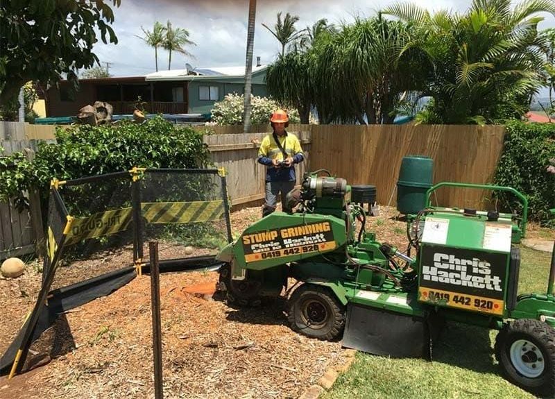 A Chris Hackett Stump Grinder Is Being Used To Remove A Tree Stump — Chris Hackett Tree Services In Ballina, NSW