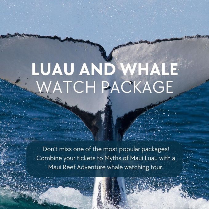 An advertisement for a luau and whale watch package | Private Boat Charters Maui | Whale Watching An advertisement for a luau and whale watch package