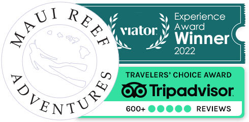 Recommended by TripAdvisor and Viator Experience Award Winner 2022 Recommended by TripAdvisor and Viator Experience Award Winner 2022