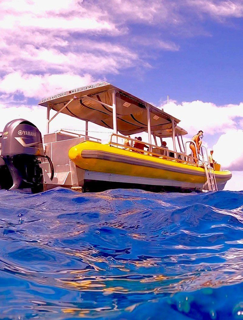 Private Charter — Wailuku, HI — Maui Reef Adventures