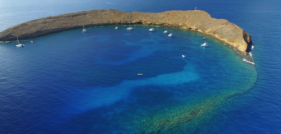Sea — Wailuku, HI — Maui Reef Adventures
