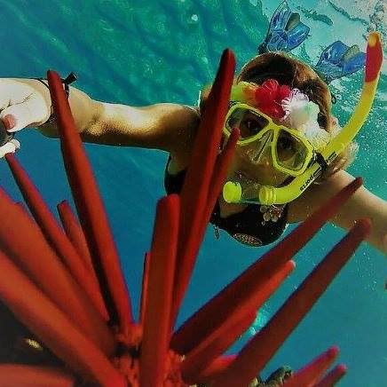 Snorkel Tour — Wailuku, HI — Maui Reef Adventures
