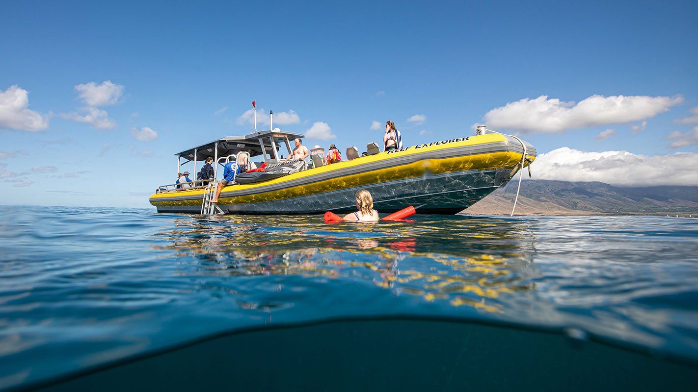 Snorkeling Adventure — Wailuku, HI — Maui Reef Adventures