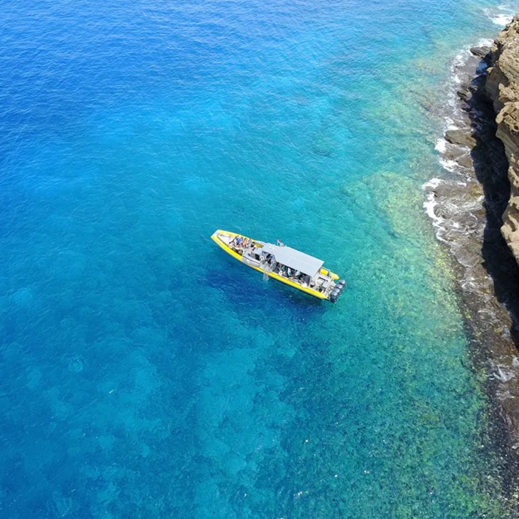 morning Molokini snorkel