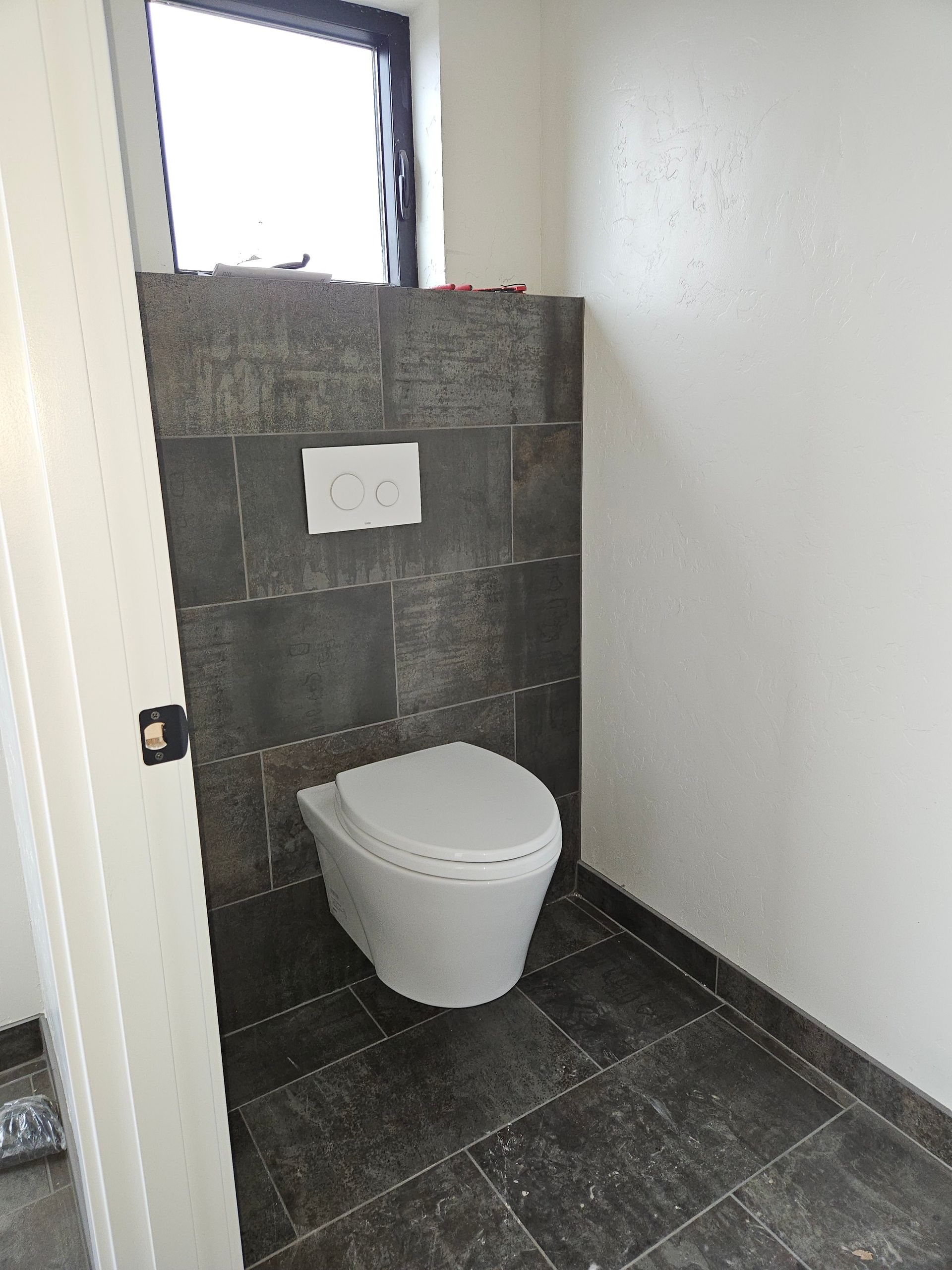 Wall-mounted toilet