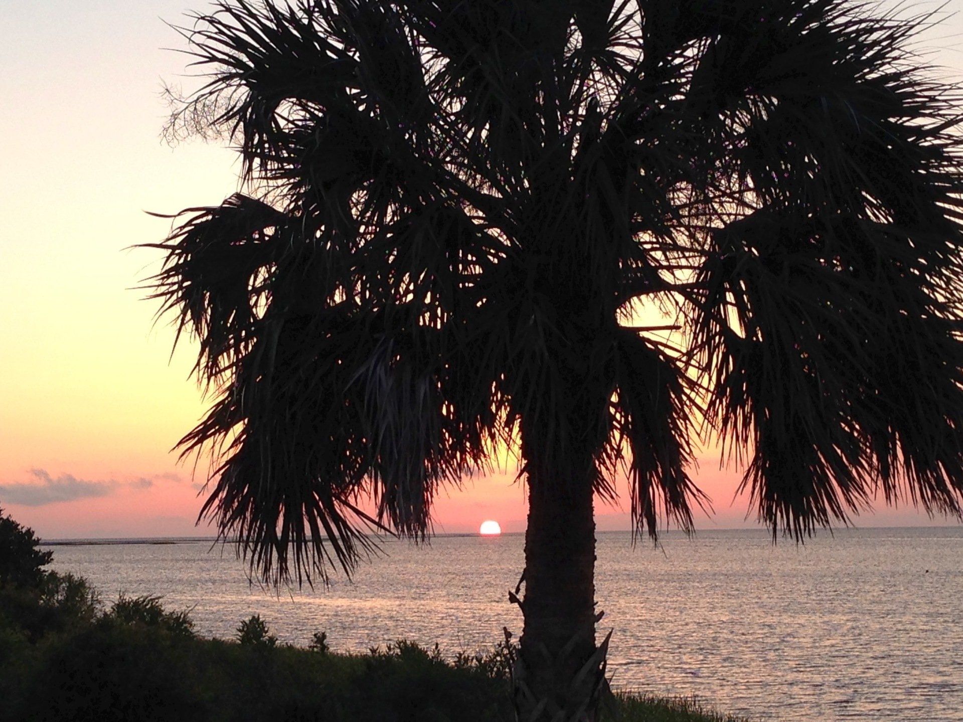 nature coast inn and cottages, best hotel Inglis Florida, bed and breakfast yankeetown, hotel suites near me, hotel suites near me, hotels in yankeetown, fl