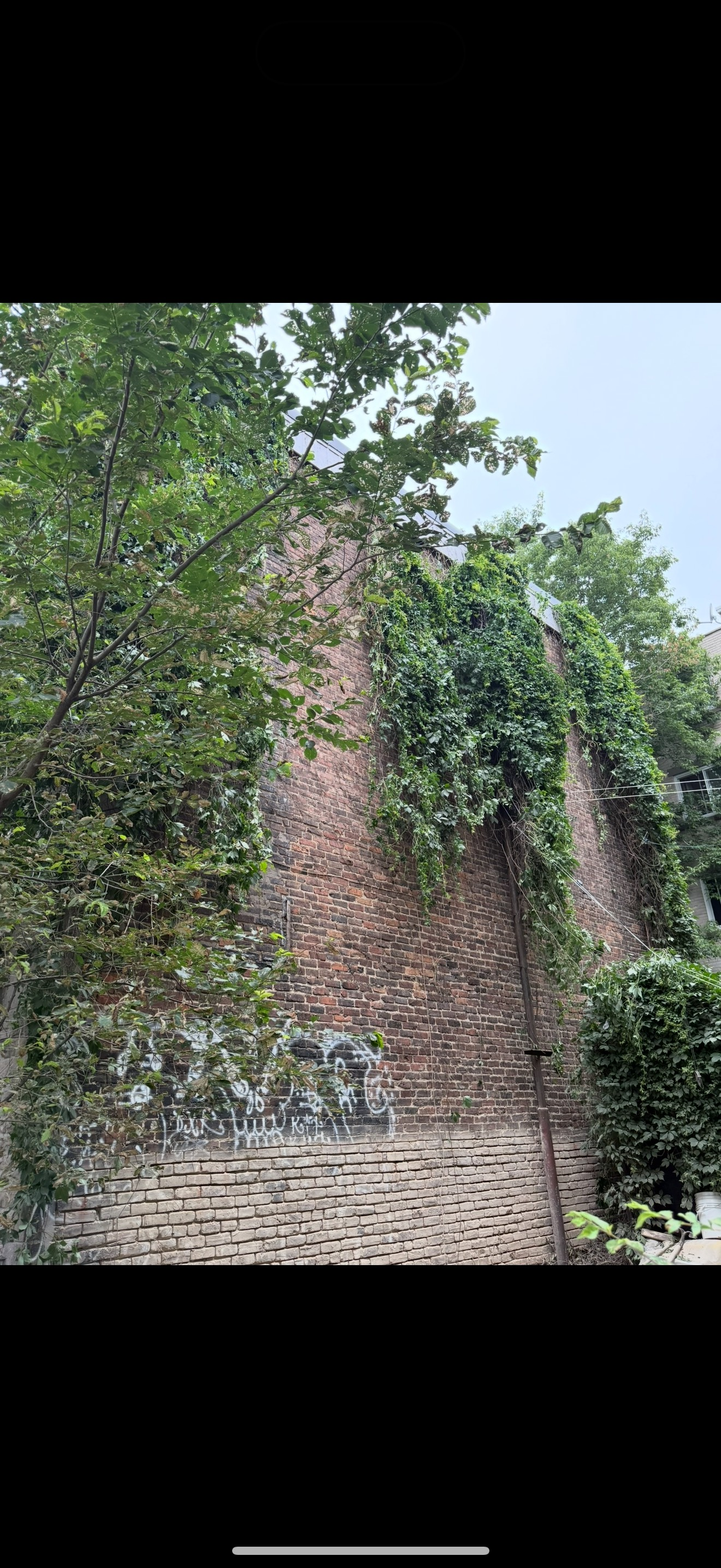 Mur de briques recouvert de lierre avec de la verdure et une base en pierre dans un cadre de jardin
